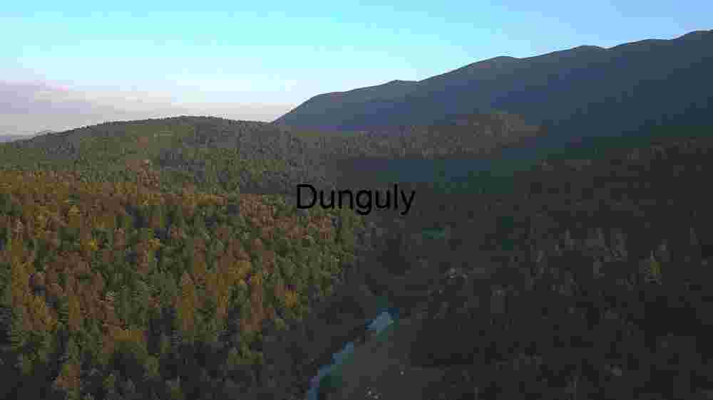 Serene Forest Landscape at Dusk