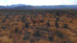 Agave Field in Arid Landscape