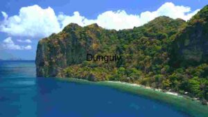 Coastal Cliff and Lush Forest