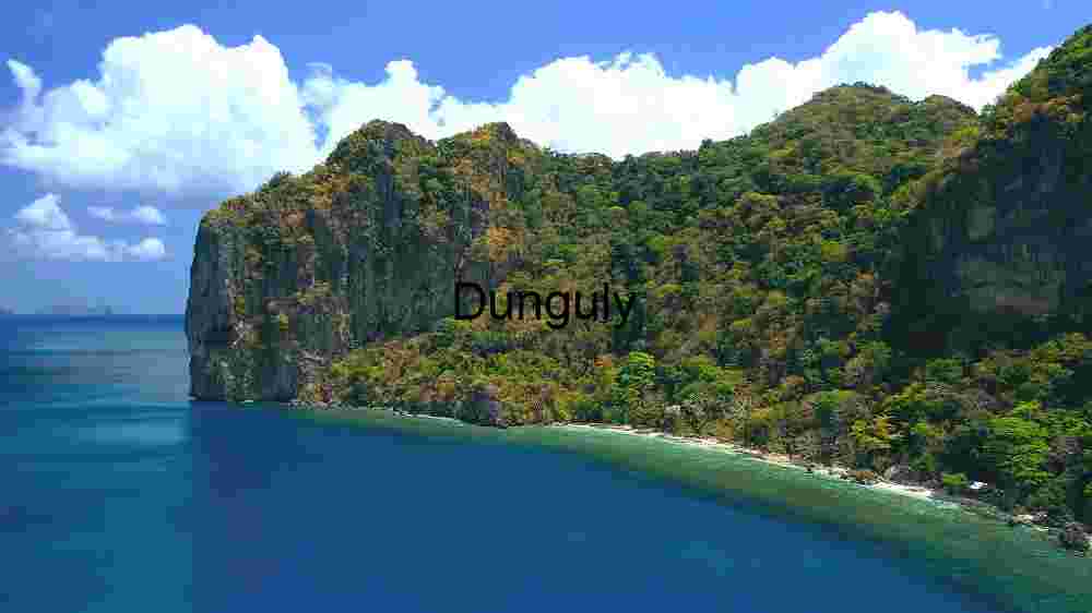 Coastal Cliff and Lush Forest