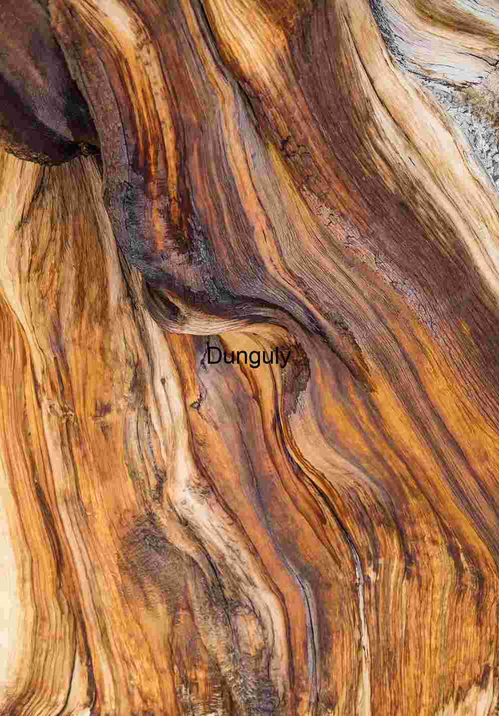 Intricate Wood Grain Patterns