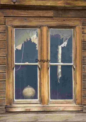 Rustic Wooden Door with Colourful Murals