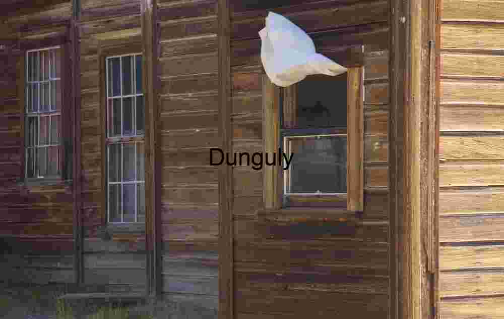 Rustic Wooden House with Billowing Curtain