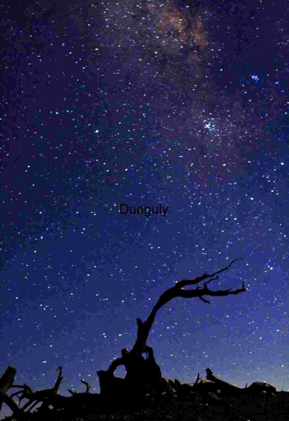 Starry Night Sky with Silhouetted Tree