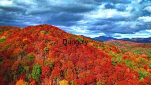 Autumn Foliage in the Mountains