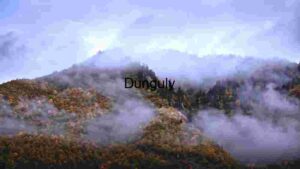 Misty Autumn Mountains