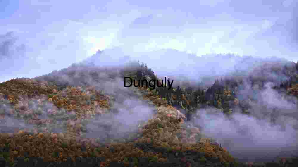 Misty Autumn Mountains