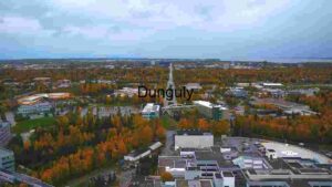 Aerial View of a City in Autumn