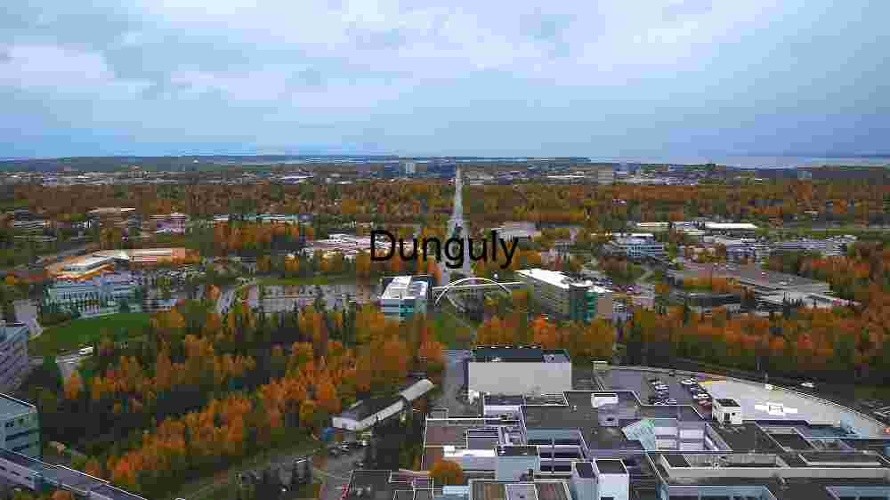Aerial View of a City in Autumn