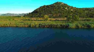 Serene Lakeside Landscape with Lush Greenery and Hills