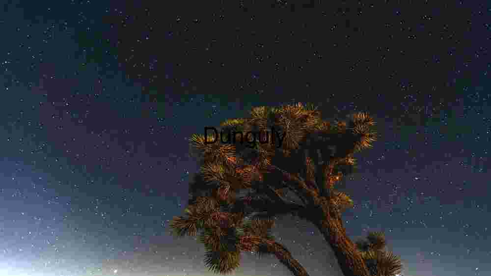 Starry Night Over Joshua Tree