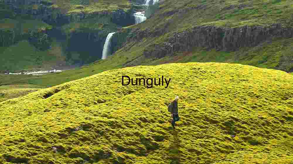 Serene Tropical Lagoon Surrounded by Lush Greenery