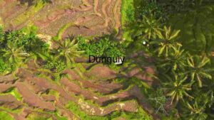 Aerial View of Terraced Rice Fields