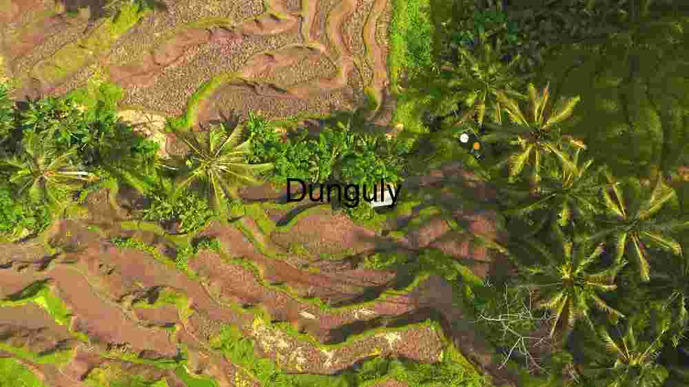 Aerial View of Terraced Rice Fields