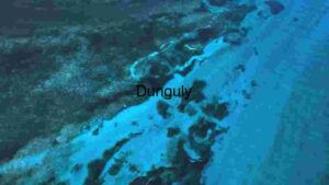 Aerial View of Coral Reef and Ocean Floor