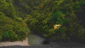 Majestic Bryce Canyon National Park Landscape