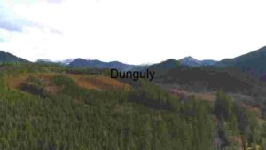 Serene Mountain Landscape with Dense Forest