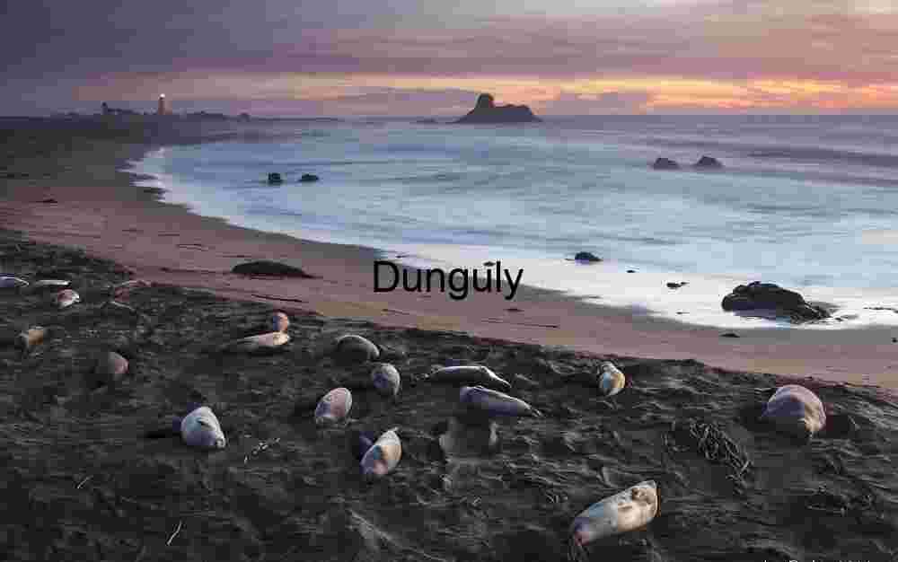 Seals Resting on a Beach at Sunset