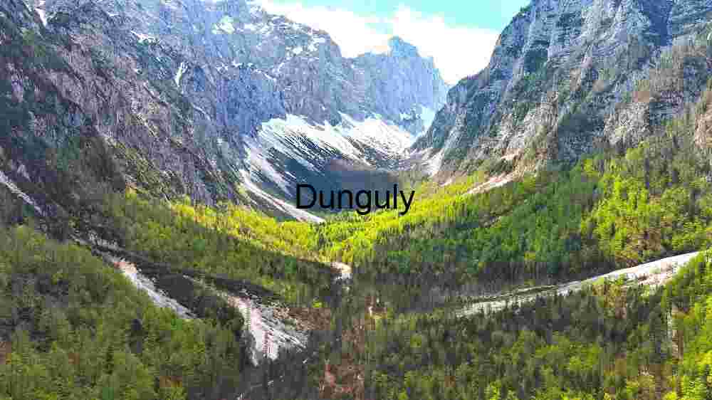 Majestic Mountain Valley with Lush Forests and Snow-Capped Peaks