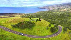 Scenic Coastal Road with Ocean View