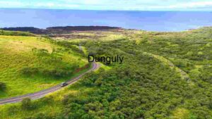 Scenic Coastal Road Through Lush Green Hills