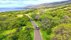 Scenic Coastal Drive Through Lush Greenery