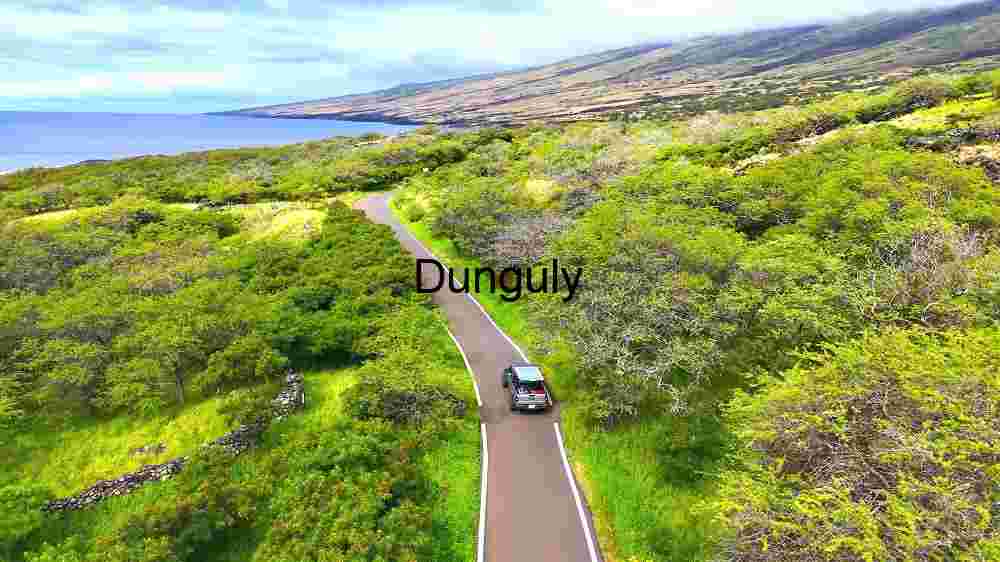 Scenic Coastal Drive Through Lush Greenery