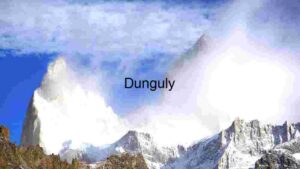 Scenic Coastal Drive Through Lush Greenery