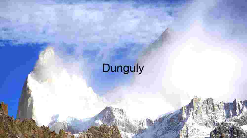 Scenic Coastal Drive Through Lush Greenery