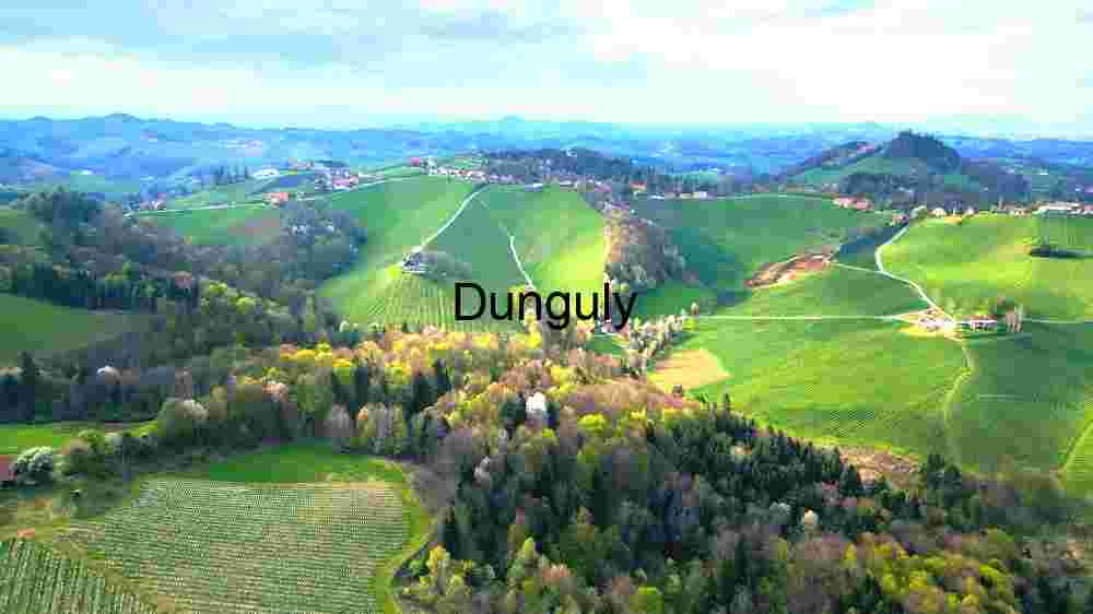 Rolling Hills and Vineyards