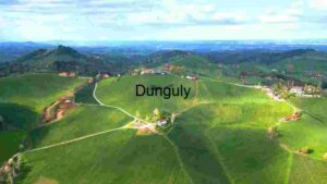 Scenic Aerial View of Rolling Hills and Vineyards