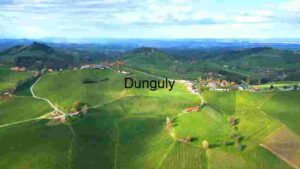 Rolling Hills and Vineyards