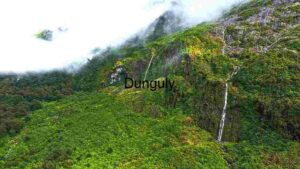 Tranquil Mountain Forest with River