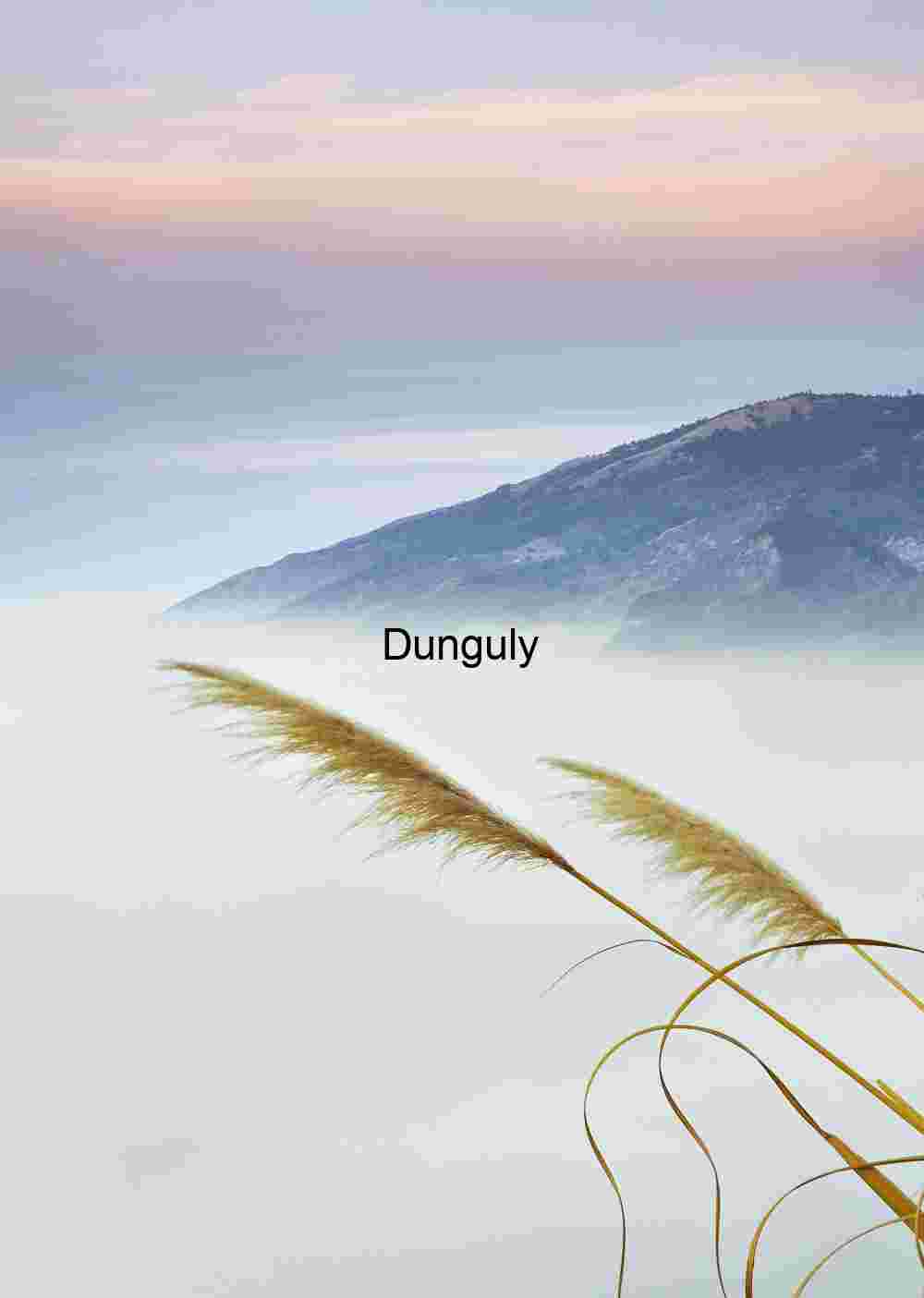 Pampas Grass Over a Sea of Fog