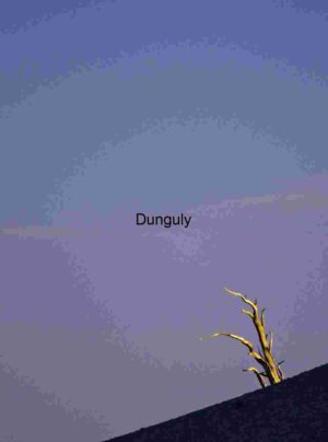 Moonlit Silhouette: A Lone Tree Against the Twilight Sky