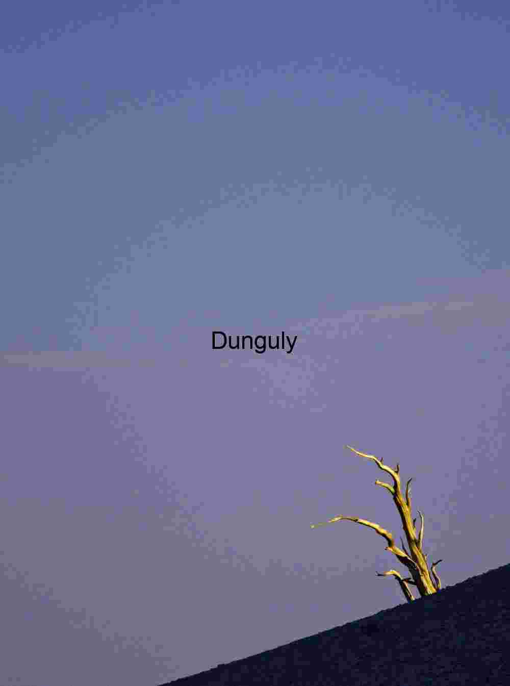 Moonlit Silhouette: A Lone Tree Against the Twilight Sky