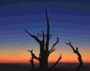 Moonlit Silhouette: A Lone Tree Against the Twilight Sky