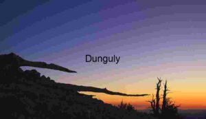 Moonlit Silhouette: A Lone Tree Against the Twilight Sky