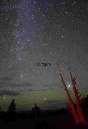 Celestial Nightscape with Illuminated Tree Silhouette
