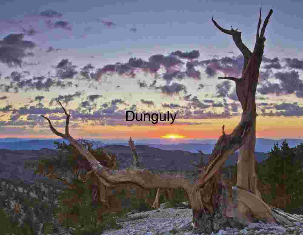 Majestic Sunset Over Ancient Bristlecone Pine