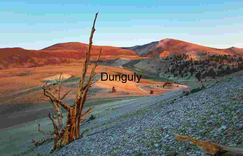 Ancient Bristlecone Pine Forest at Sunset