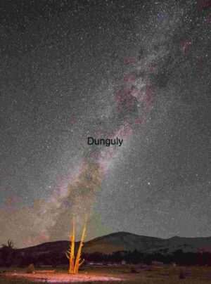 Celestial Sentinel: Bristlecone Pine Under the Milky Way