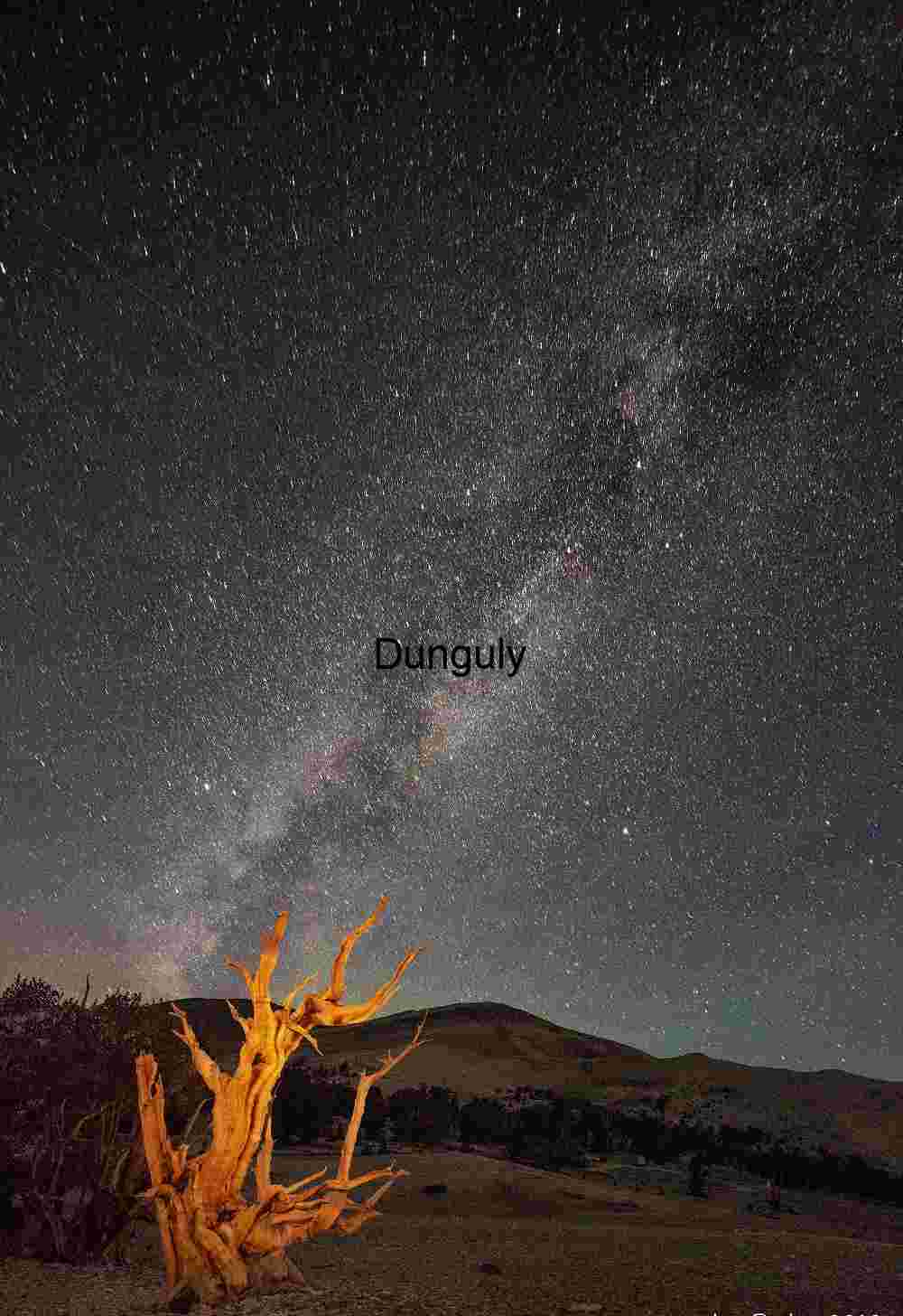 Gnarled Witness: Bristlecone Pine Beneath the Stars