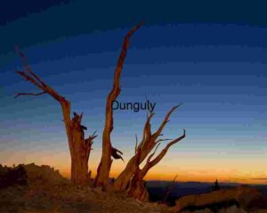 Twilight Sentinel: Guardian of the Mountain Quiet