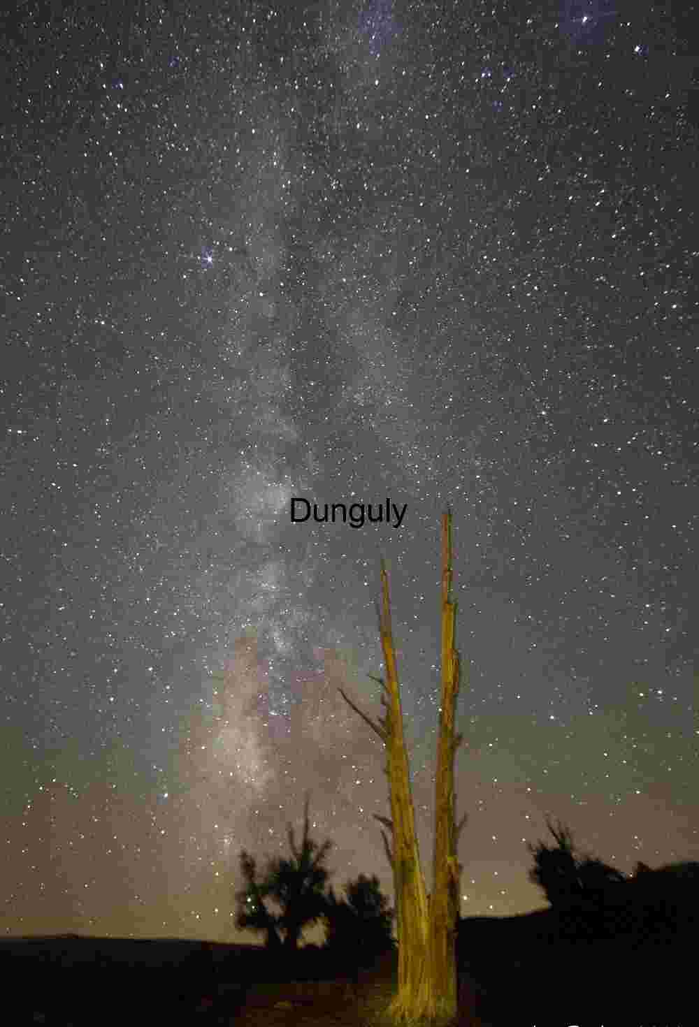 Celestial Embrace: The Tree Beneath the Milky Way