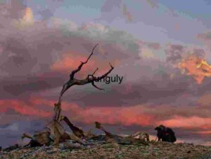 Eternal Gaze: The Photographer's Moment