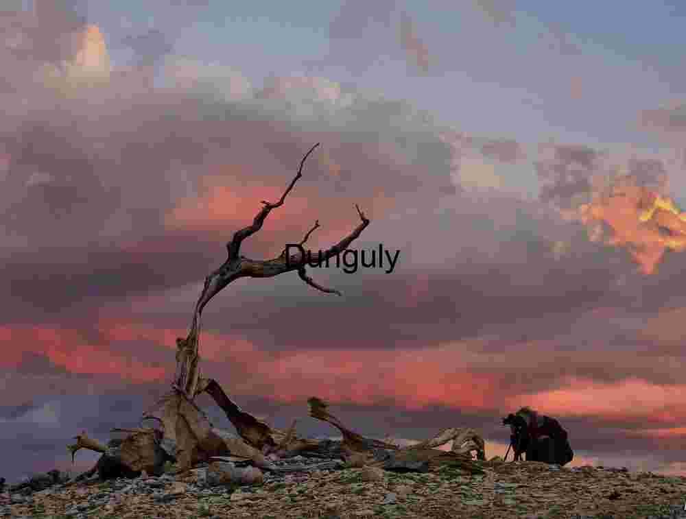 Eternal Gaze: The Photographer's Moment