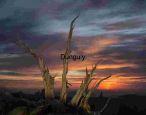 Bristlecone Blaze: Portrait of Endurance in Sunset