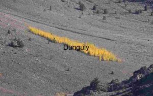 Ribbon of Gold: Grove in the Barren Stone