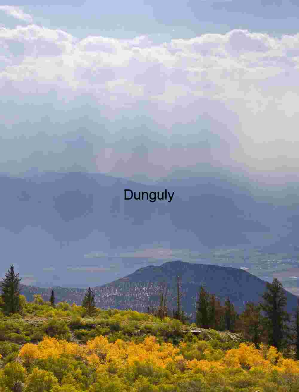 Radiant Divide: Autumn’s Glow Across the Highland